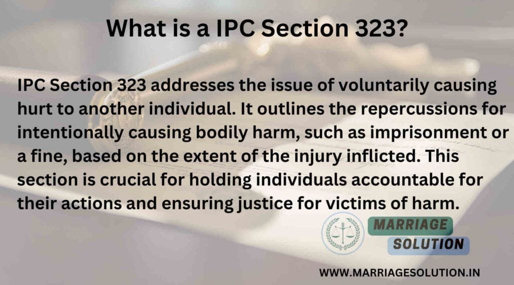 legal document with the title "IPC Section 323