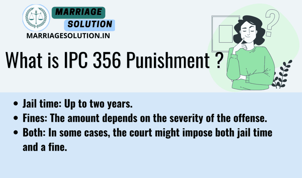 IPC Section 356 Punishment - Imprisonment and Fine