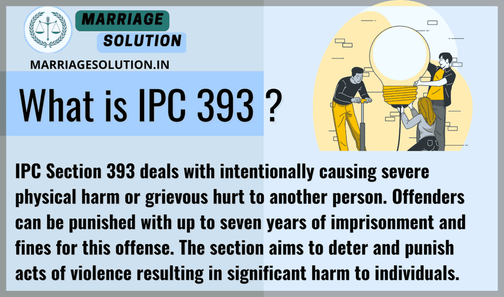 IPC 393