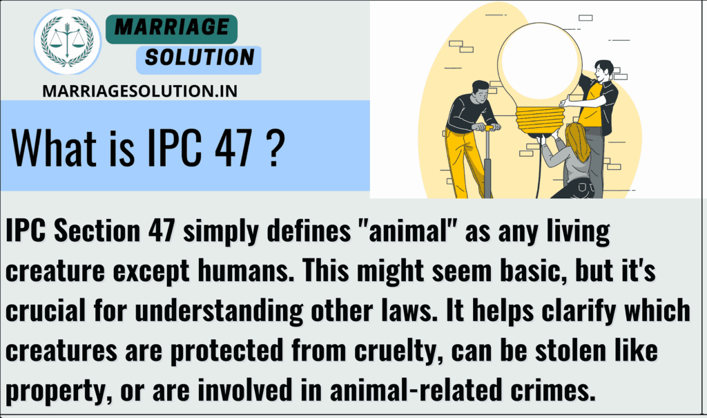 IPC Section 47 - Legal analysis