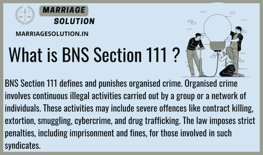 illustrating the laws and punishments under BNS Section 111 for organized crime