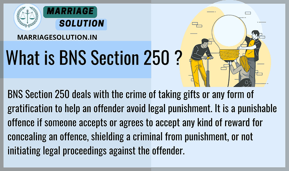 BNS Section 250 explanation of taking money or gifts to protect an offender .